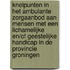 Knelpunten in het ambulante zorgaanbod aan mensen met een lichamelijke en/of geestelijke handicap in de provincie Groningen