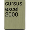 Cursus Excel 2000 by C.M.F. Sanders