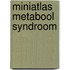 Miniatlas Metabool Syndroom