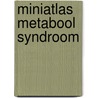 Miniatlas Metabool Syndroom by L.R. Lepori