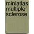 Miniatlas Multiple Sclerose