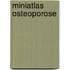 Miniatlas Osteoporose