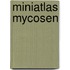 Miniatlas Mycosen