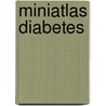 Miniatlas Diabetes door L.R. Lepori