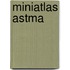 Miniatlas Astma