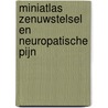 Miniatlas Zenuwstelsel en neuropatische pijn by L.R. Lepori