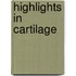 Highlights in cartilage