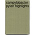 Campylobacter pylari highlights