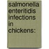 Salmonella enteritidis infections in chickens: