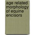 Age related morphology of equine encisors