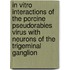 In vitro interactions of the porcine pseudorabies virus with neurons of the trigeminal ganglion