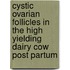 Cystic ovarian follicles in the high yielding dairy cow post partum