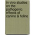 In vivo studies on the pathogenic effects of canine & feline