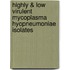 Highly & low virulent mycoplasma hyopneumoniae isolates