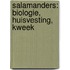 Salamanders: biologie, huisvesting, kweek