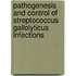Pathogenesis and control of streptococcus gallolyticus infections