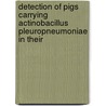 Detection of pigs carrying actinobacillus pleuropneumoniae in their door K. Chiers
