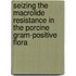 Seizing the macrolide resistance in the porcine Gram-positive flora