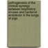 Pathogenesis of the clinical synergy between respiratory viruses and bacterial endotoxin in the lungs of pigs
