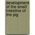 Development of the small intestine of the pig