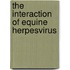 The interaction of equine herpesvirus