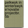 Pelkwyk in winterswyk e'novatie projectbr. 5b by Unknown