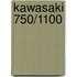 Kawasaki 750/1100