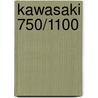 Kawasaki 750/1100 door Stan Skubisz