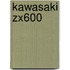 Kawasaki ZX600