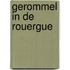 Gerommel in de Rouergue