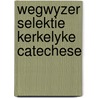 Wegwyzer selektie kerkelyke catechese door Posthumus