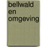 Bellwald en omgeving