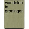 Wandelen in Groningen by R. van der Veen