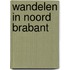 Wandelen in Noord Brabant