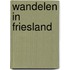 Wandelen in Friesland