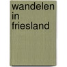 Wandelen in Friesland door Tsjêbbe Hettinga