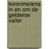 Korenmolens in en om de Gelderse Vallei