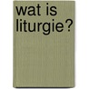 Wat is liturgie? by K. Joosse