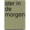 Ster in de morgen door Terpstra