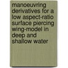 Manoeuvring derivatives for a low aspect-ratio surface piercing wing-model in deep and shallow water door W. Beukelman