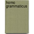 Homo grammaticus