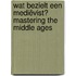 Wat bezielt een mediëvist? Mastering the Middle Ages