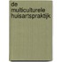 De multiculturele huisartspraktijk