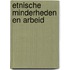 Etnische minderheden en arbeid