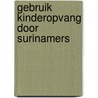 Gebruik kinderopvang door surinamers by Naomi Campbell