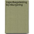Trajectbegeleiding bij inburgering