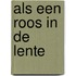 Als een roos in de lente