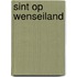 Sint op wenseiland