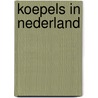 Koepels in Nederland door Luuk Kramer