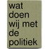 Wat doen wij met de politiek